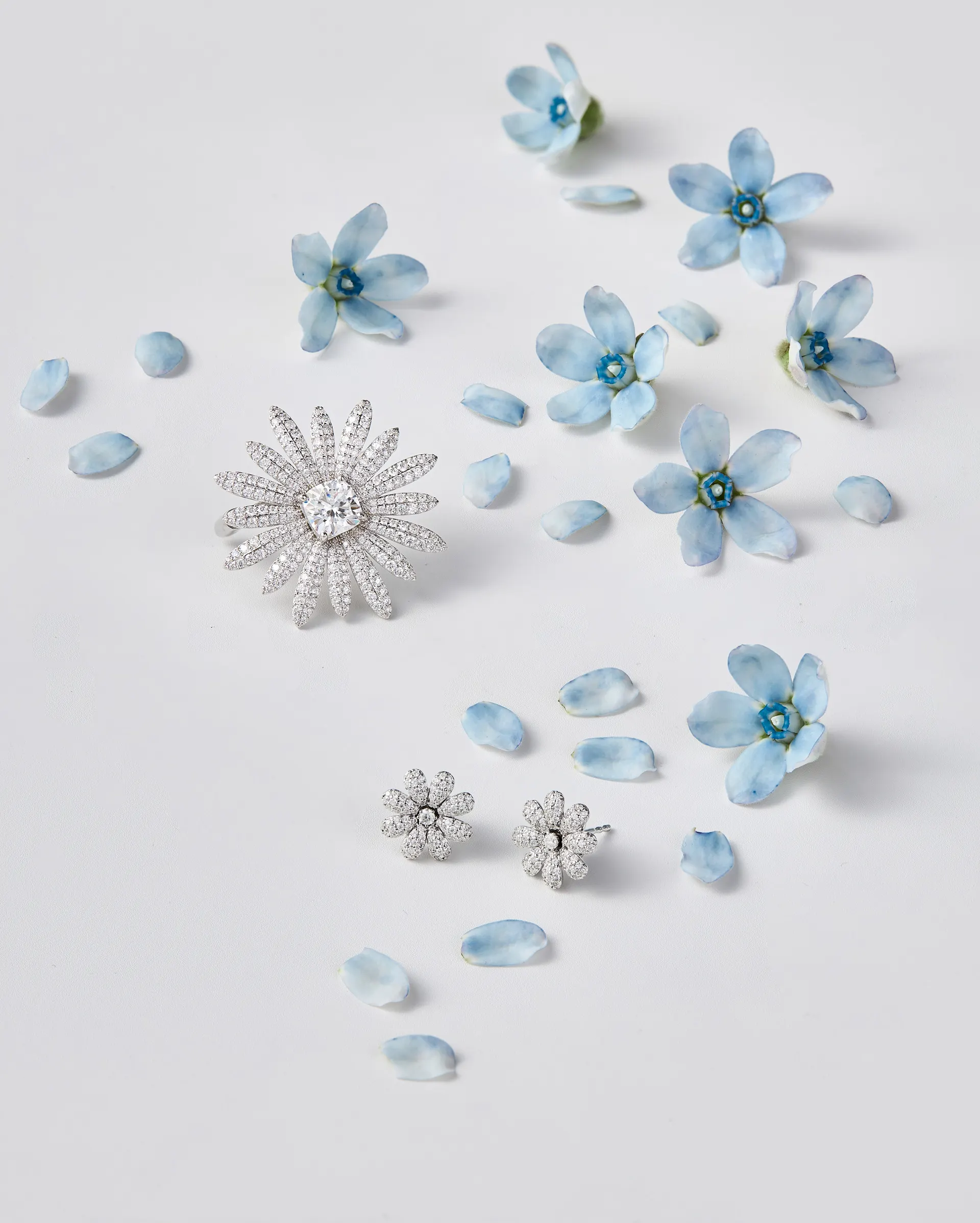 Blauwe bloem
